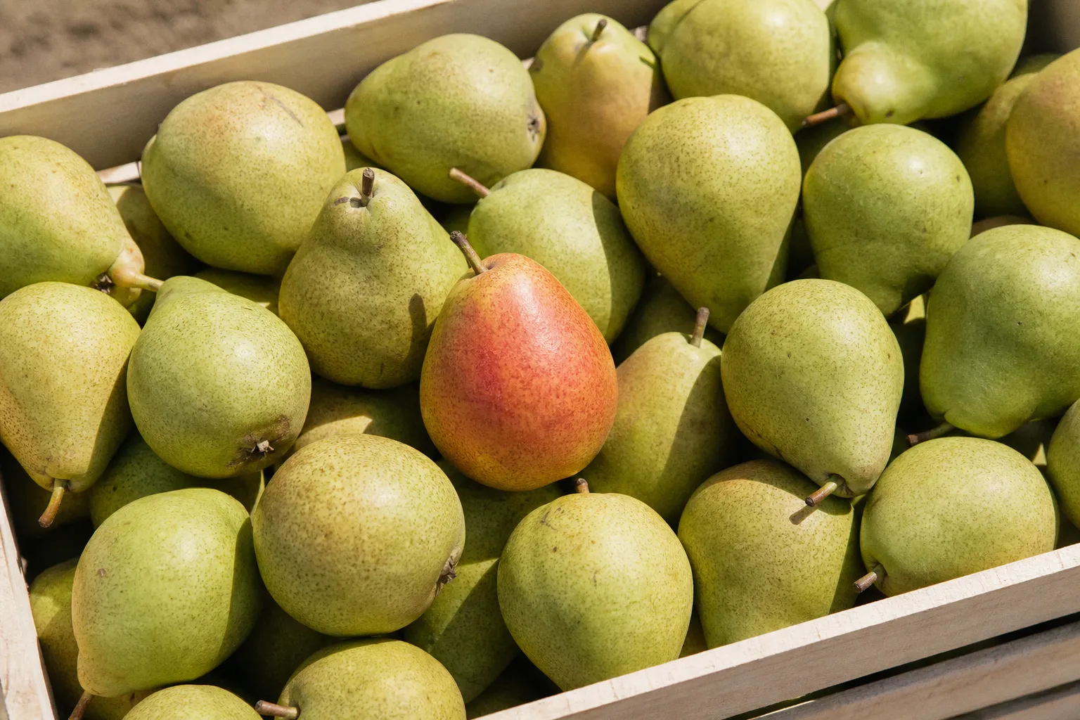 Product market fit survey: what our methodology revealed